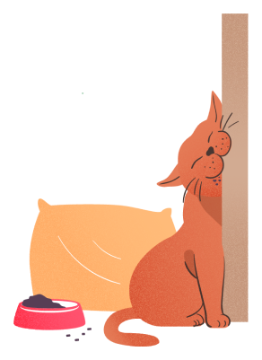 cat f25fa576bf2f03d70baa4366957f510b