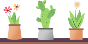 cactus middle 462c072161f60ae9fc7eb655fe58c59d